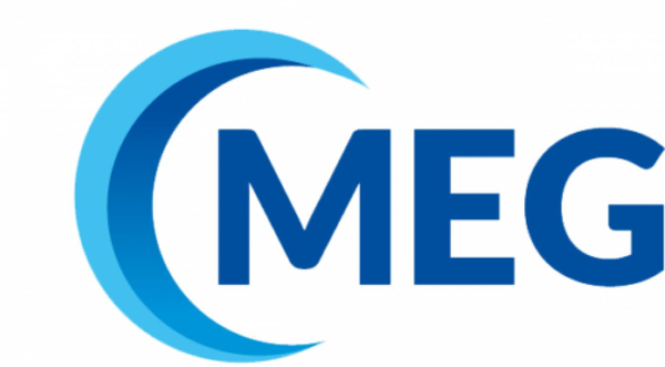 MEG